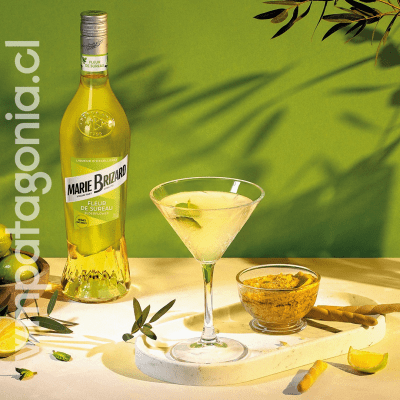 Marie Brizard Flor de Sauco 20° 700 cc