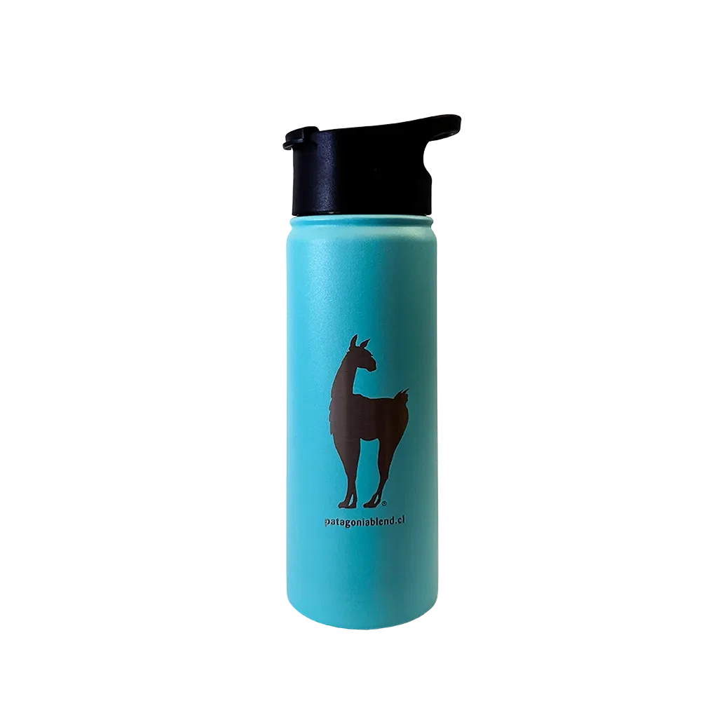 Patagonia Blend Botella Térmica Celeste 500 ml1