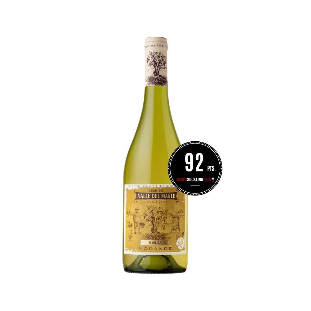 Morande Terroir Wines Semillon 750 ml2