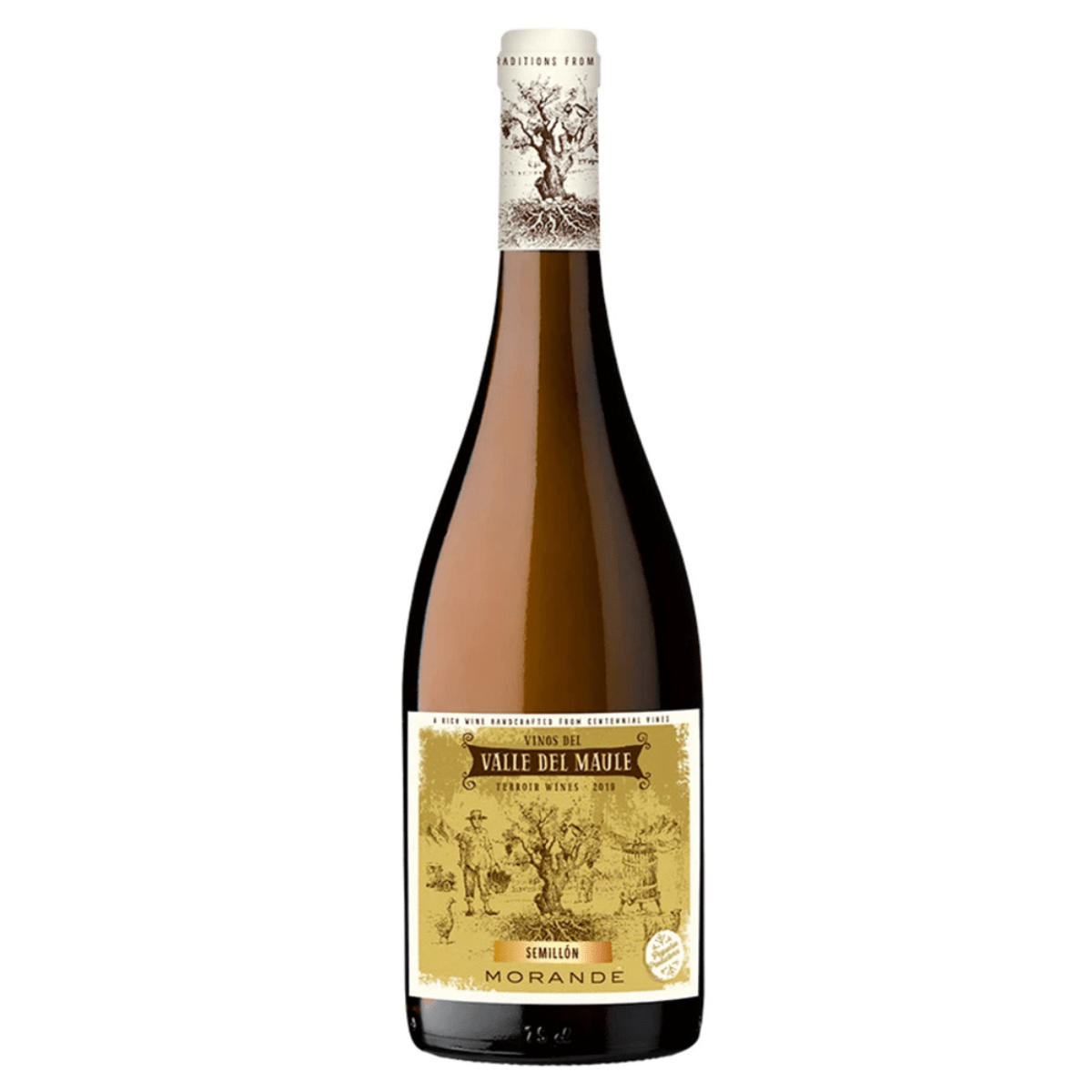 Morande Terroir Wines Semillon 750 ml1