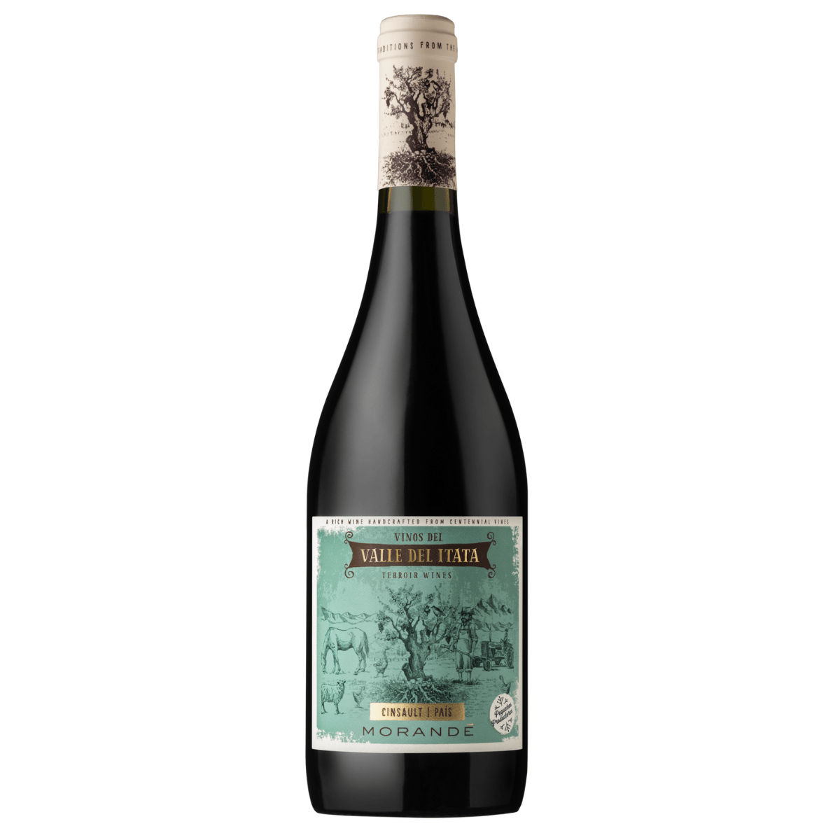 Morande Terroir Wines Cinsault Pais 750 ml1