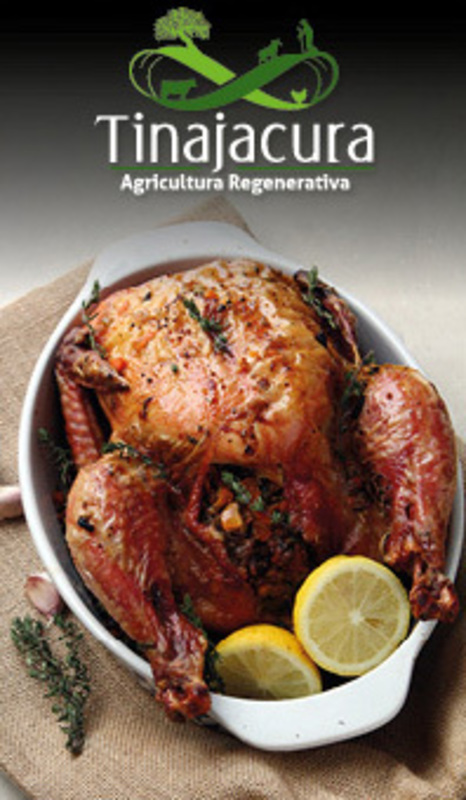 POLLO ASADO RELLENO CON MIX DE VERDURAS