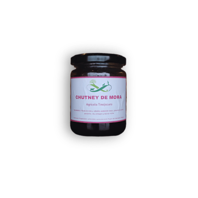 CHUTNEY DE MORA SILVESTRE1