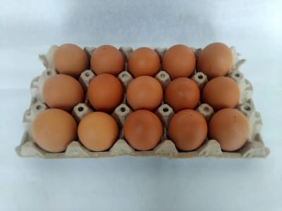 BANDEJA HUEVOS 15 UNIDADES1