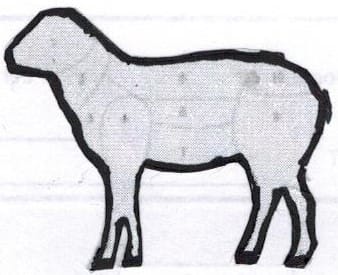 CORDERO ENTERO VARA 10,058 KG.1