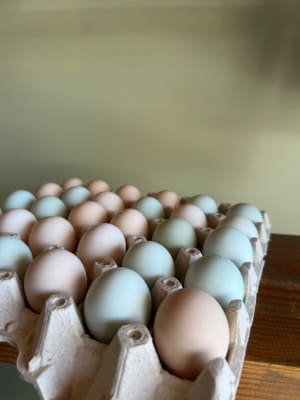 BANDEJA HUEVOS CRIOLLO TALLA M 30 UNIDADES1
