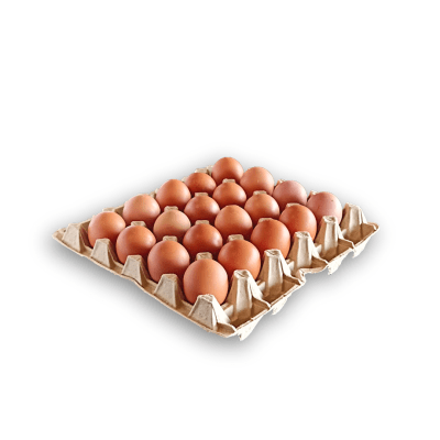 BANDEJA HUEVOS 20 UNID. JUMBO1