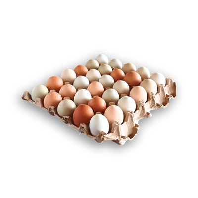 BANDEJA HUEVOS KRIOLLOS 30 UNI. CARRITO1