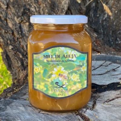 MIEL  MONOFLORAL DE QUILLAY1