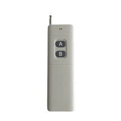 Control Remoto 2 Botones Larga Distancia