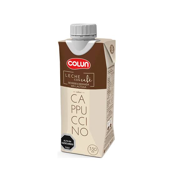 LECHE CAPPUCINO 330ML1