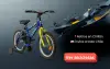 Bicicletas
