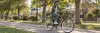 Hombre recorriendo un parque en bicicleta playera Roldic aro 26 negra