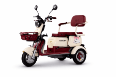 TRICICLO ELECTRICO ROLDIC