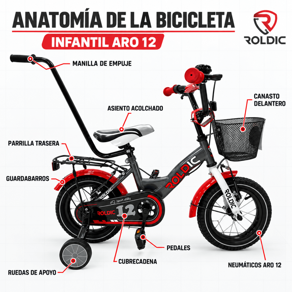 Bicicleta Infantil Roldic Aro 122
