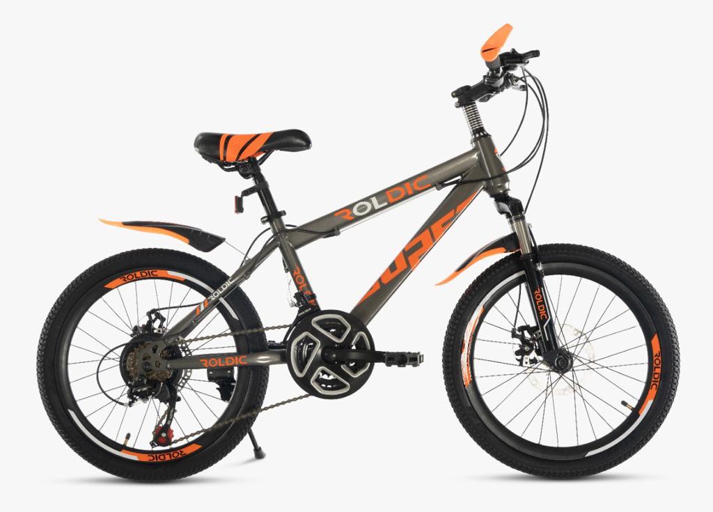 Bicicleta Aro 20 Niños 21 Velocidades Roldic | 4 Colores3