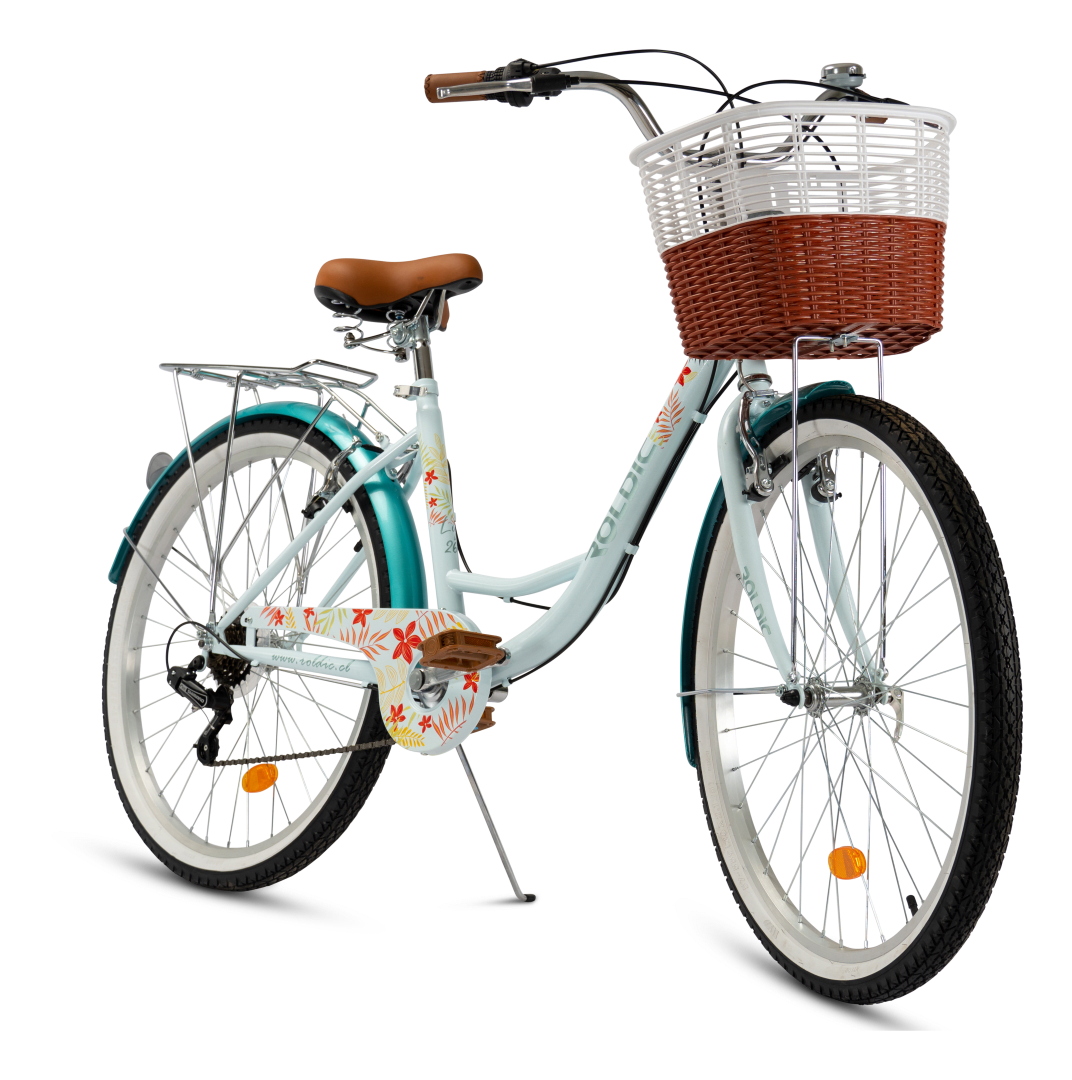 Bicicleta de paseo aro 26 - DAMA1