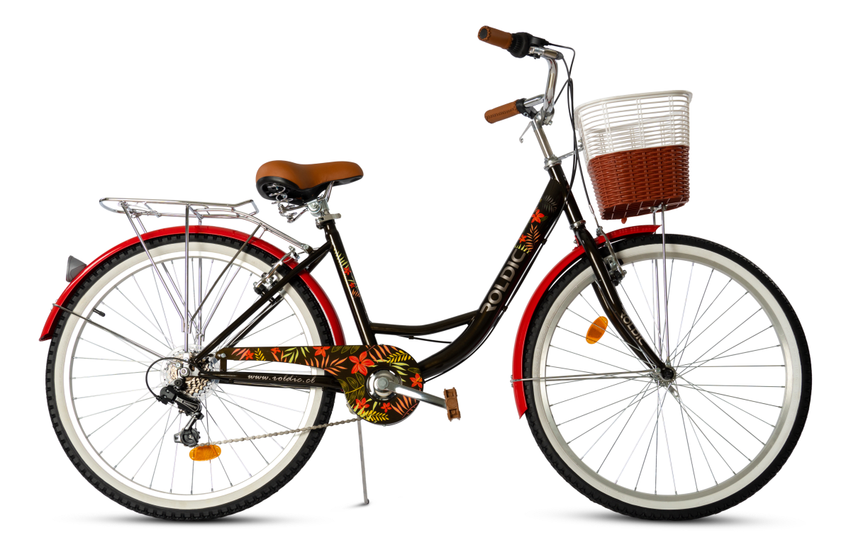 Bicicleta de Paseo Aro 26 Dama Roldic Liz | 6 Velocidades1