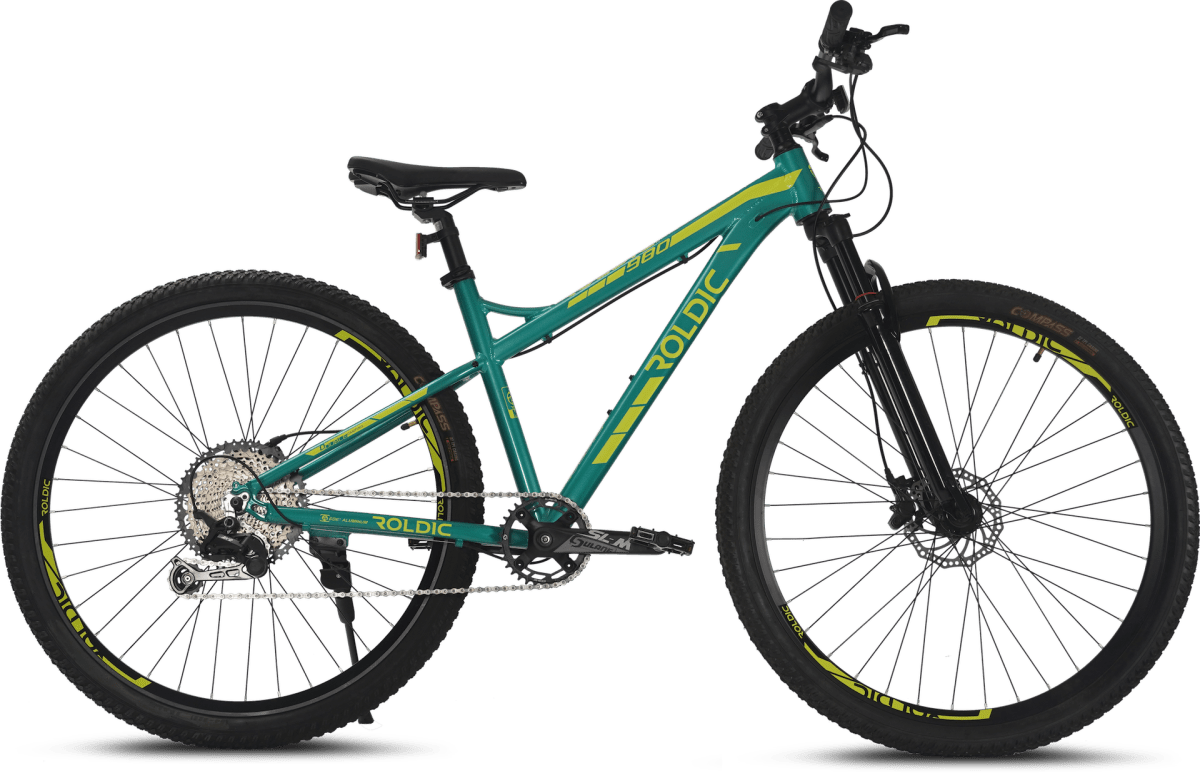 Bicicleta MTB ROLDIC aro 291