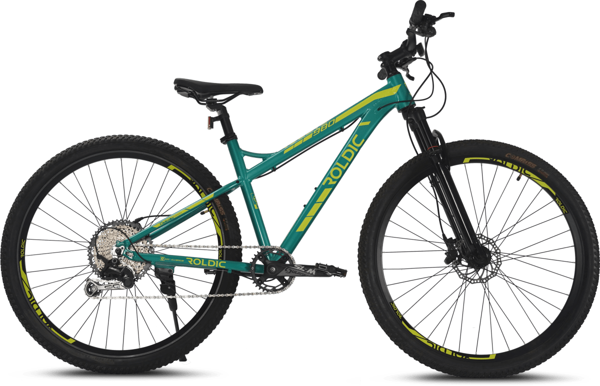 Bicicleta MTB Aro 29 Roldic 980 | 12 Velocidades2
