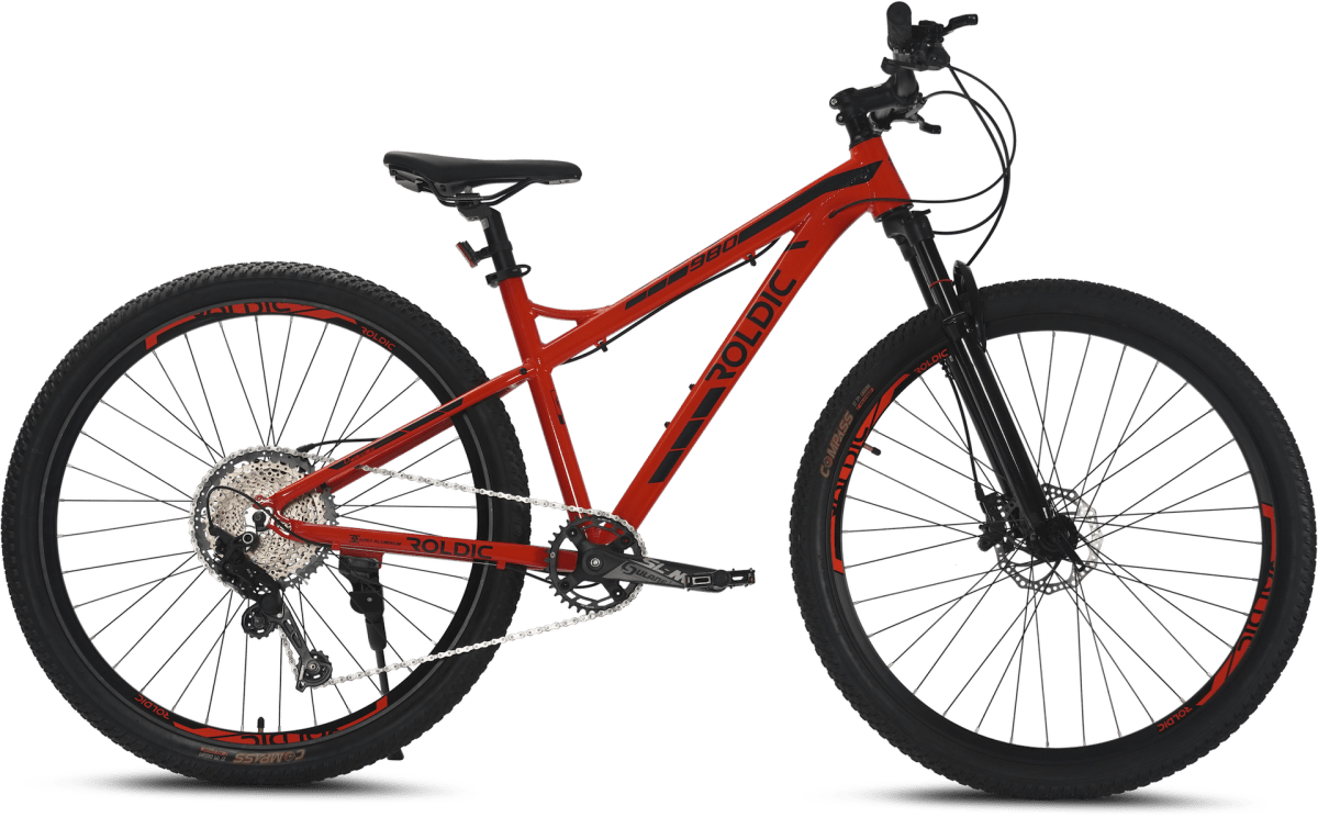 Bicicleta MTB Aro 29 Roldic 980 | 12 Velocidades3