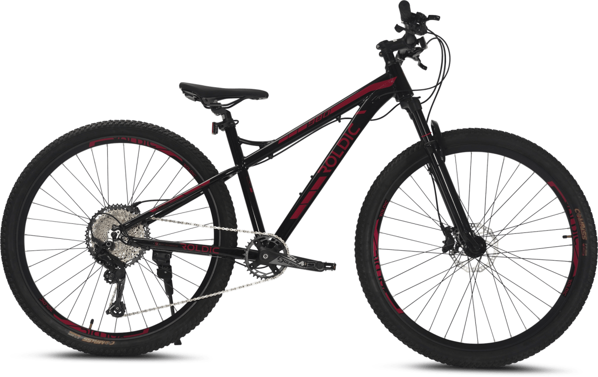 Bicicleta MTB Aro 29 Roldic 980 | 12 Velocidades4