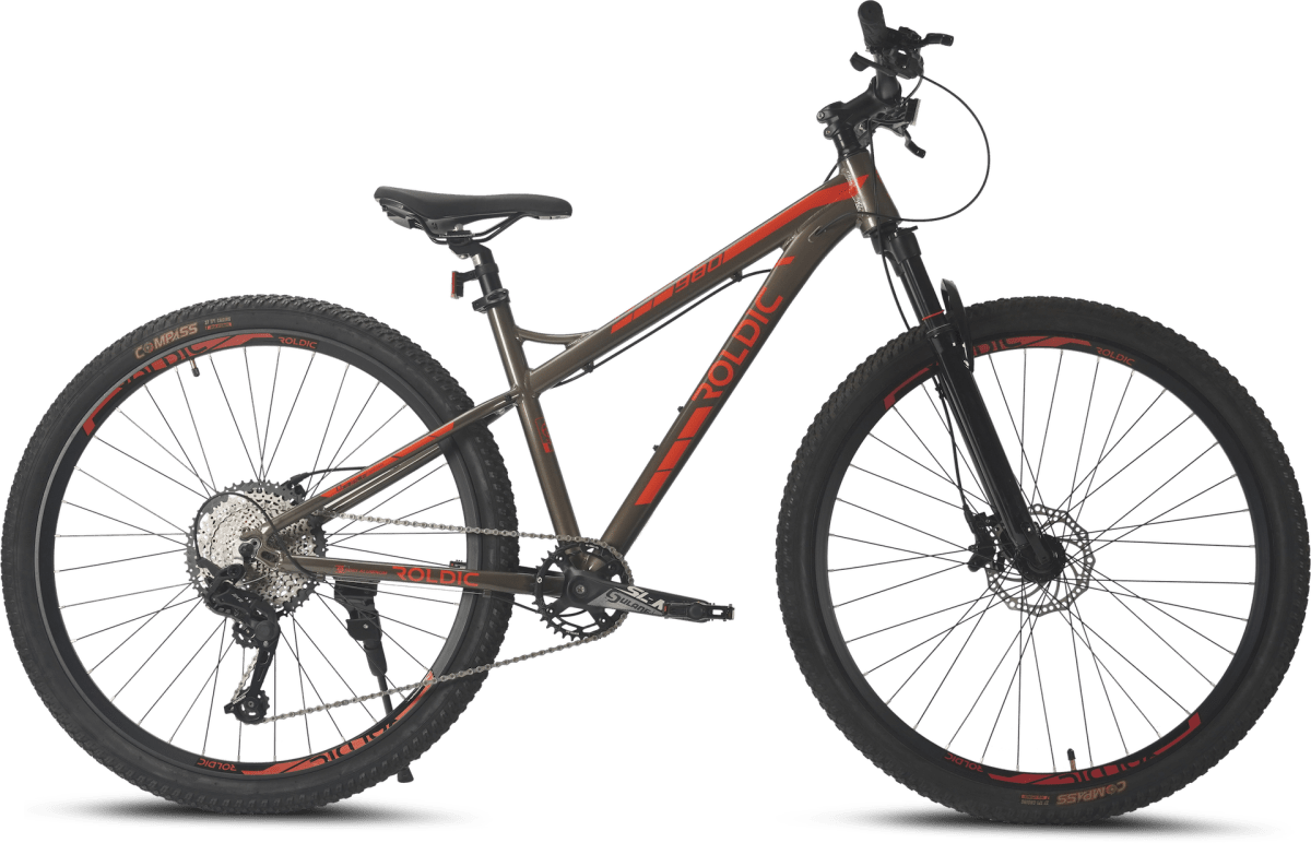 Bicicleta MTB Aro 29 Roldic 980 | 12 Velocidades5