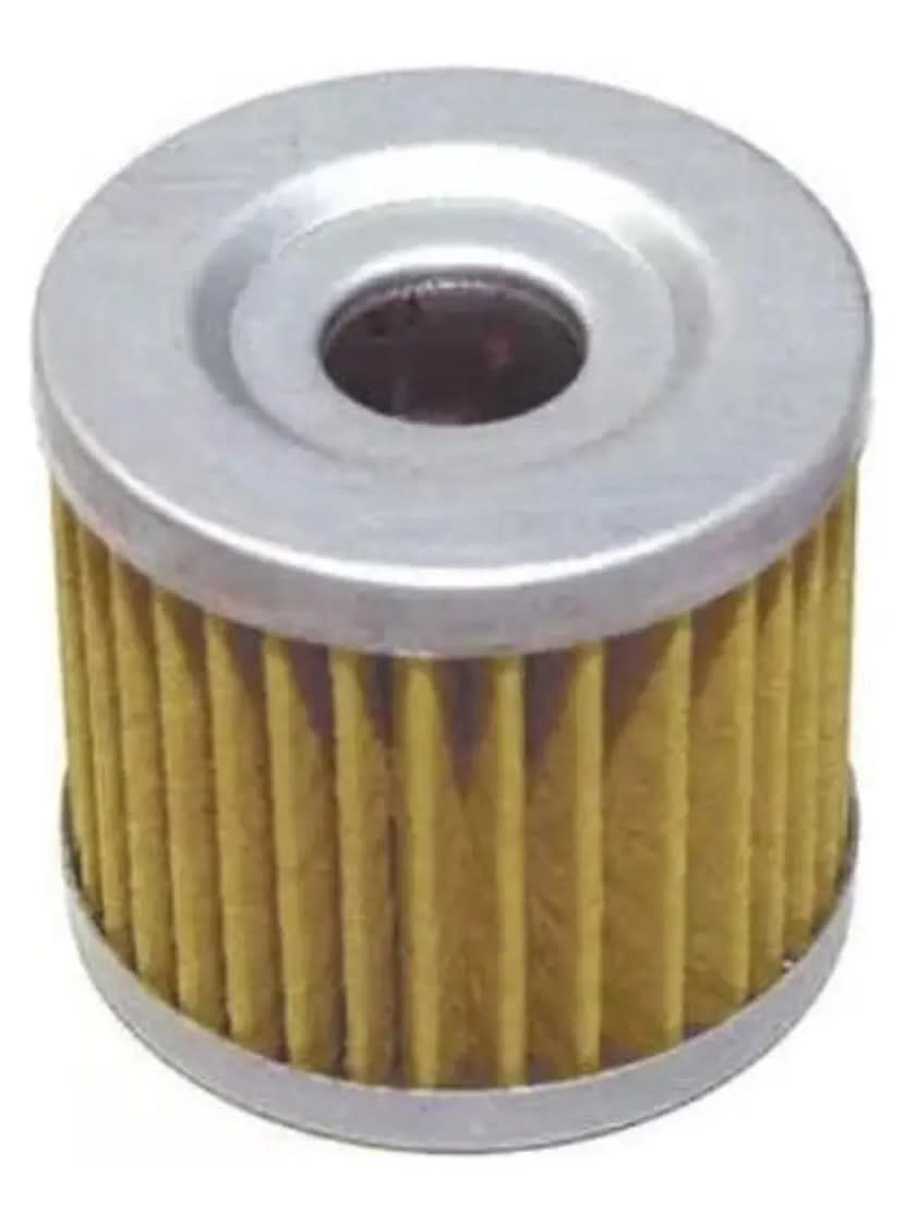 Filtro de Aceite GN125 EVERESTT1