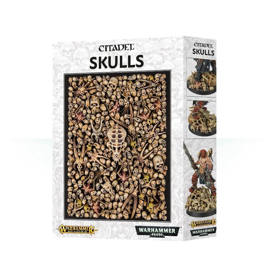 Citadel Skull1