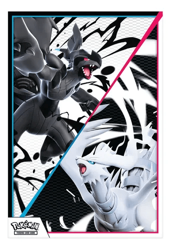 Colección con Poster Fulgor Negro y Llama Blanca2