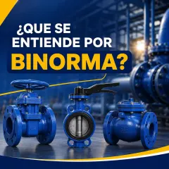 ¿QUE SE ENTIENDE POR BINORMA?