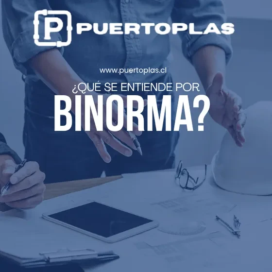¿QUE SE ENTIENDE POR BINORMA?