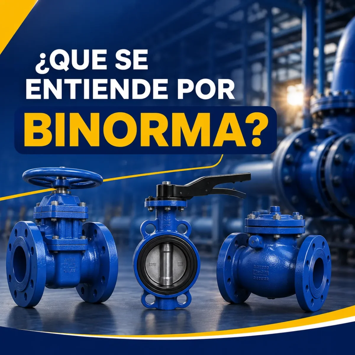 ¿QUE SE ENTIENDE POR BINORMA?