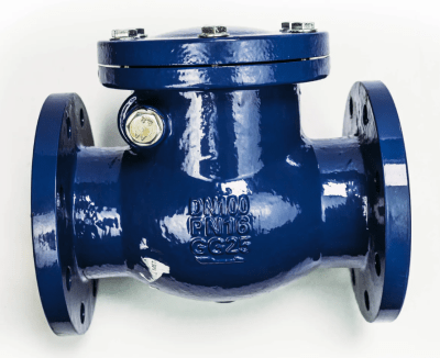 VÁLVULA RETENCION CHAPALETA BRIDA1