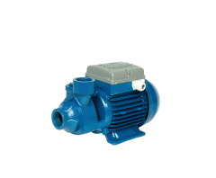 BOMBA PERIFERICA PE 100 1