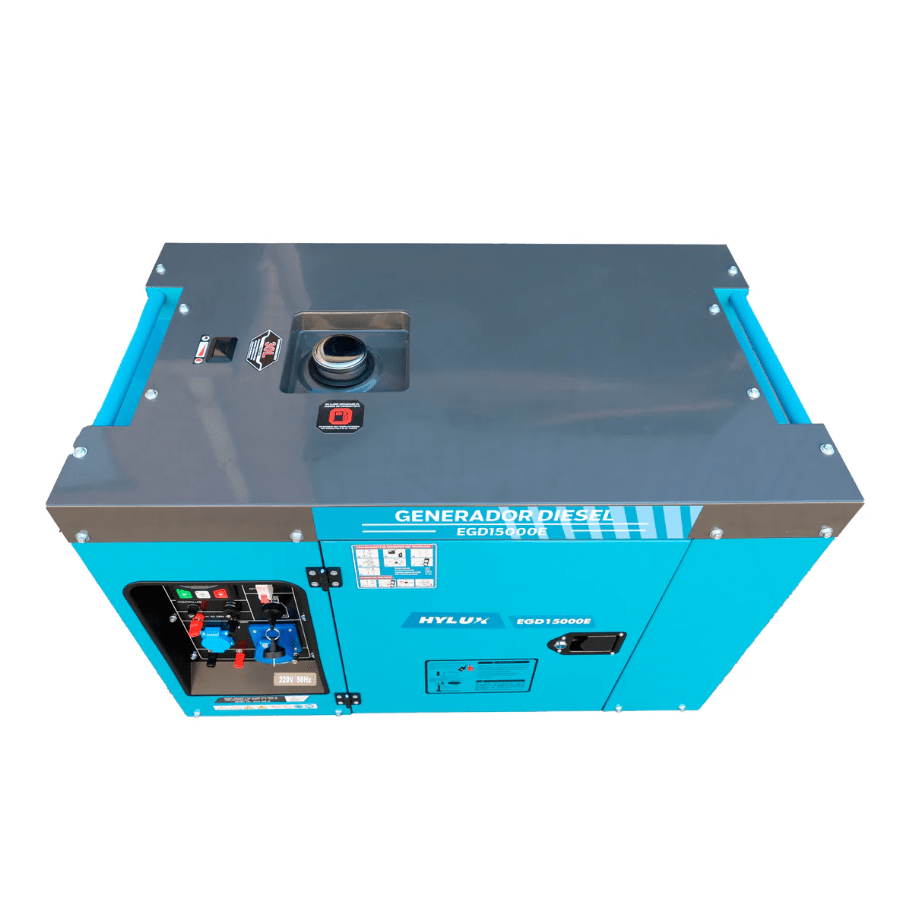 GENERADOR DIESEL MONO EGD8500E - 6,5 KW4