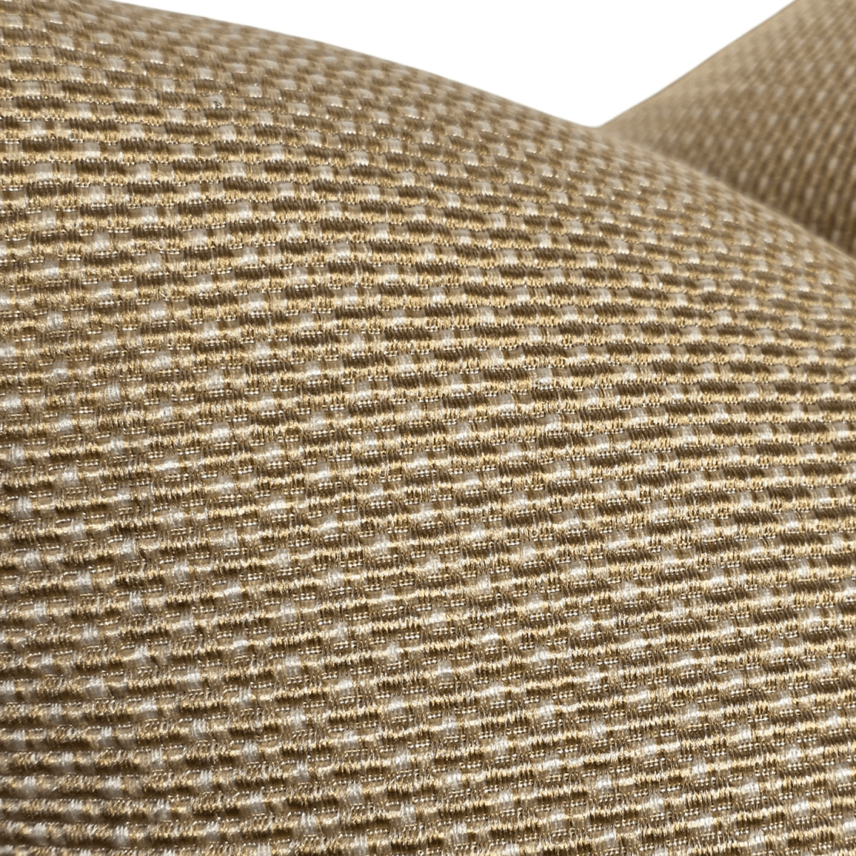 Funda Siena Champagne2