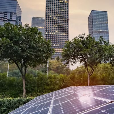 La Sustentabilidad Empresarial: Cómo la Energía Fotovoltaica Impulsa una Estrategia Eficiente y Limpia para las Empresas