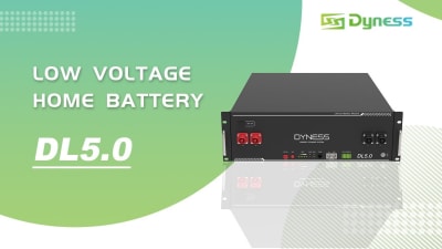 Batería de Litio 100Ah 5,12kWh Dyness DL5.0