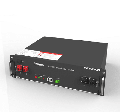 Batería Litio 24V 2.56kWh Dyness