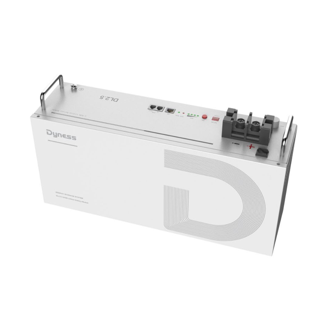 Batería de Litio 25,6V 100Ah 2,56kWh Dyness DL2.5 | Natura Energy