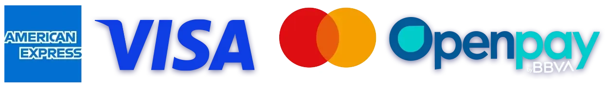 American Express, Visa, Mastercard y Openpay
