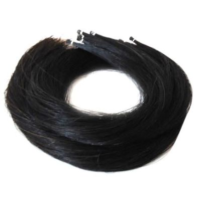 Maso de Crines. Color Negro1