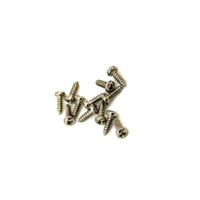 Tornillos para Clavijeros. Chrome (12 pcs)1