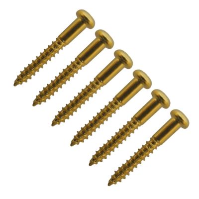Set de Tornillos Puente Vintage Stratocaster. Mod: WS-05. Color: Gold1