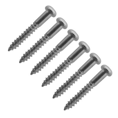 Set de Tornillos Puente Vintage Stratocaster. Mod: WS-05. Color: Chrome1