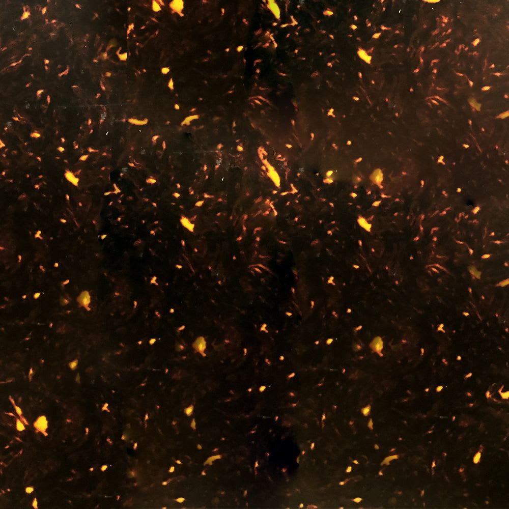 Lamina para Pickguard 220 x 300 mm. Mod: PC-TOR-PR. Color: Brown Pearloid. 4-ply  2