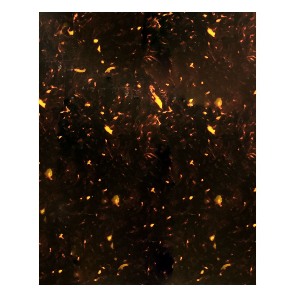 Lamina para Pickguard 300 x 450 mm. Mod: PC-TOR-PR. Color: Brown Pearloid. 4-ply 2