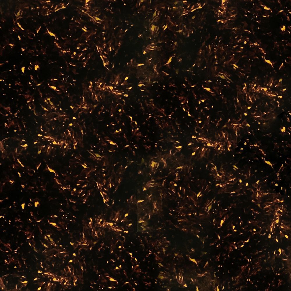 Lamina para Pickguard 220 x 300 mm. Mod: PC-TOR-BLK. Color: Brown Tortoise. 3-ply  0