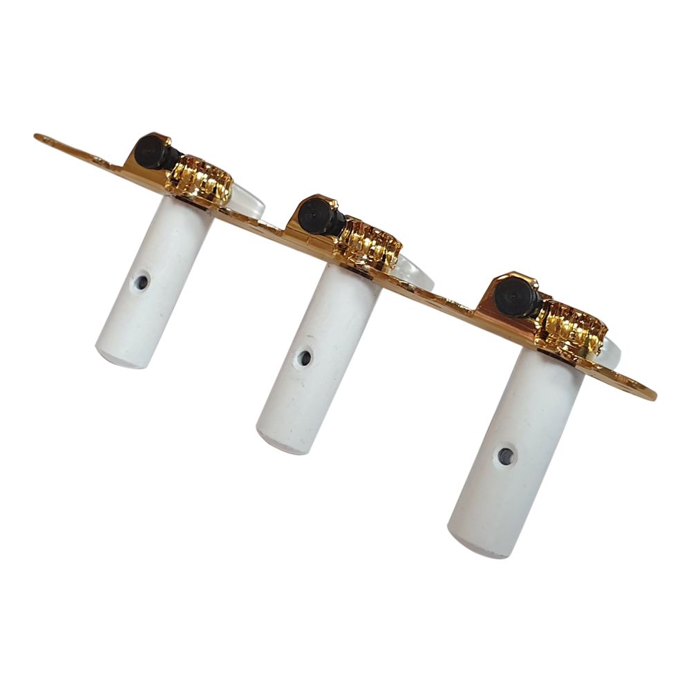 Clavijero Guitarra Clásica. Mod: 29.01.G/P. Color: Gold (Gebr Van Gent B.V)3